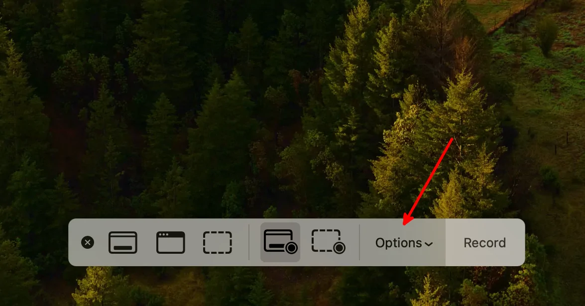 An image showing the Option button on the Mac screenshot app toolbar.