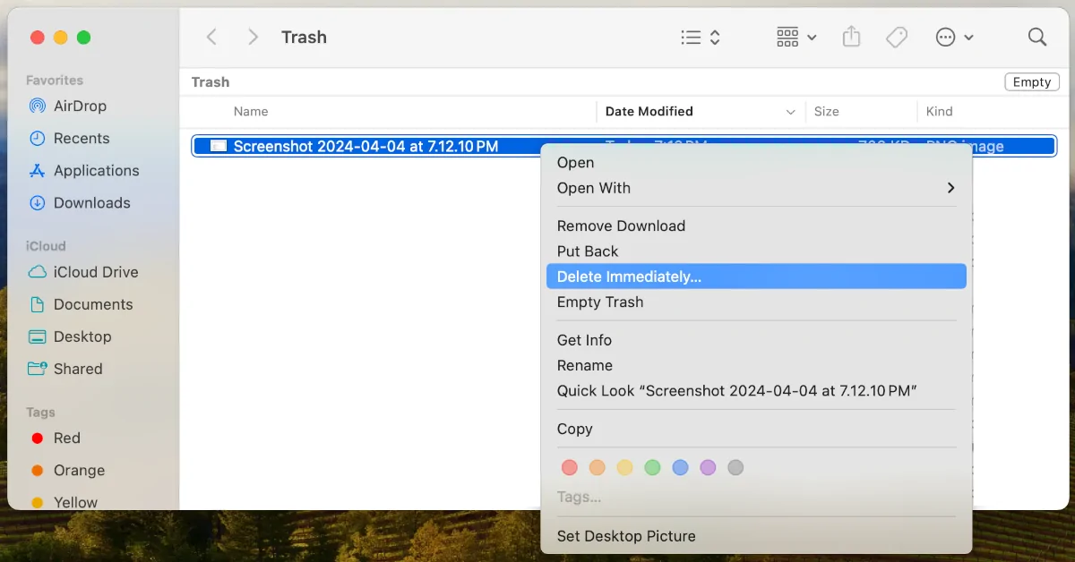 How to permanently delete a file on your Mac's Trash folder.